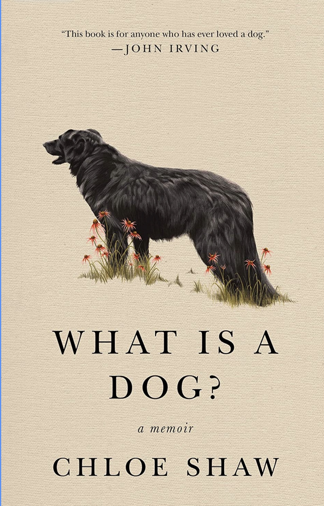 What is a&nbsp;dog